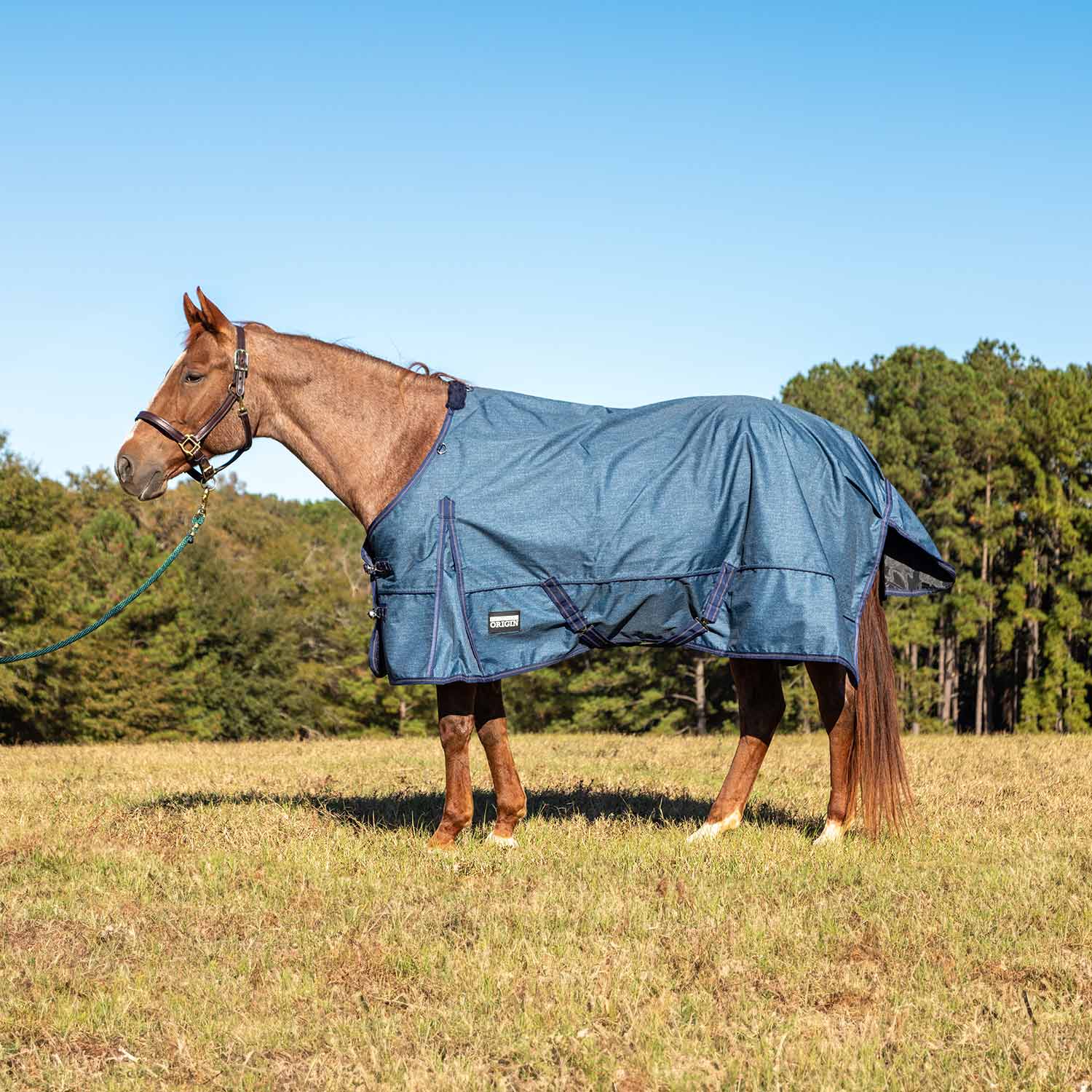 Jeffers Poplar Head "Origin" 600D Medium Weight Turnout Blanket, 240g | Waterproof & Breathable Horse Blanket - Image 21