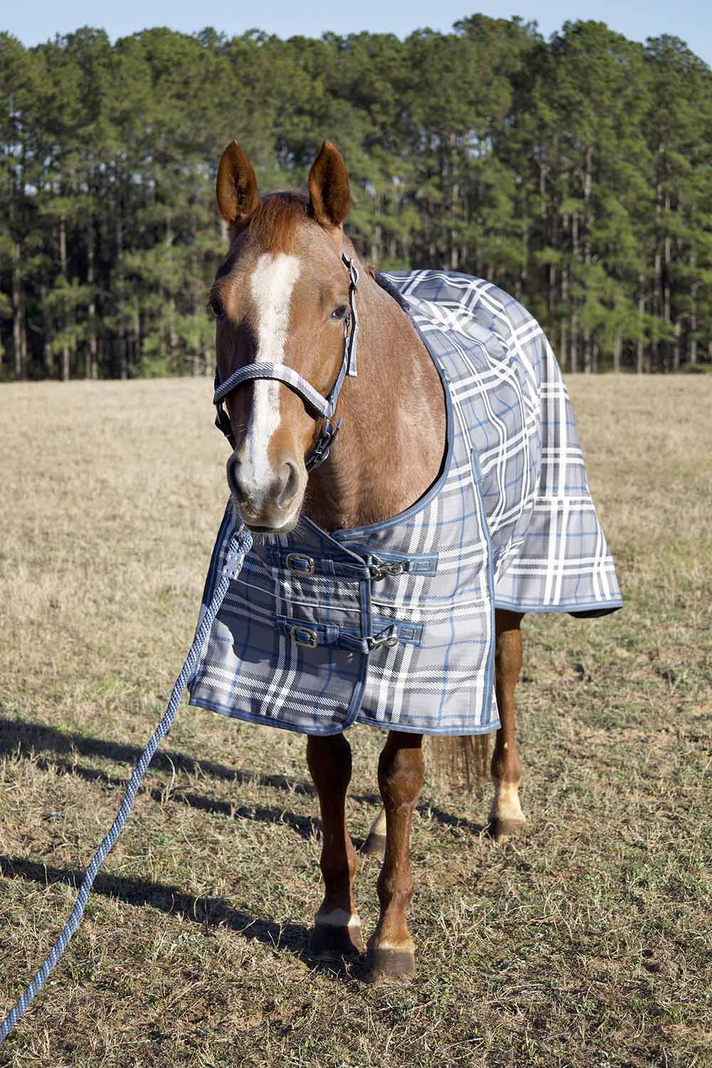 Jeffers Poplar Head "Refuge" 1200D Medium Weight Turnout Blanket, 240g - Waterproof, Breathable Horse Blanket - Image 5