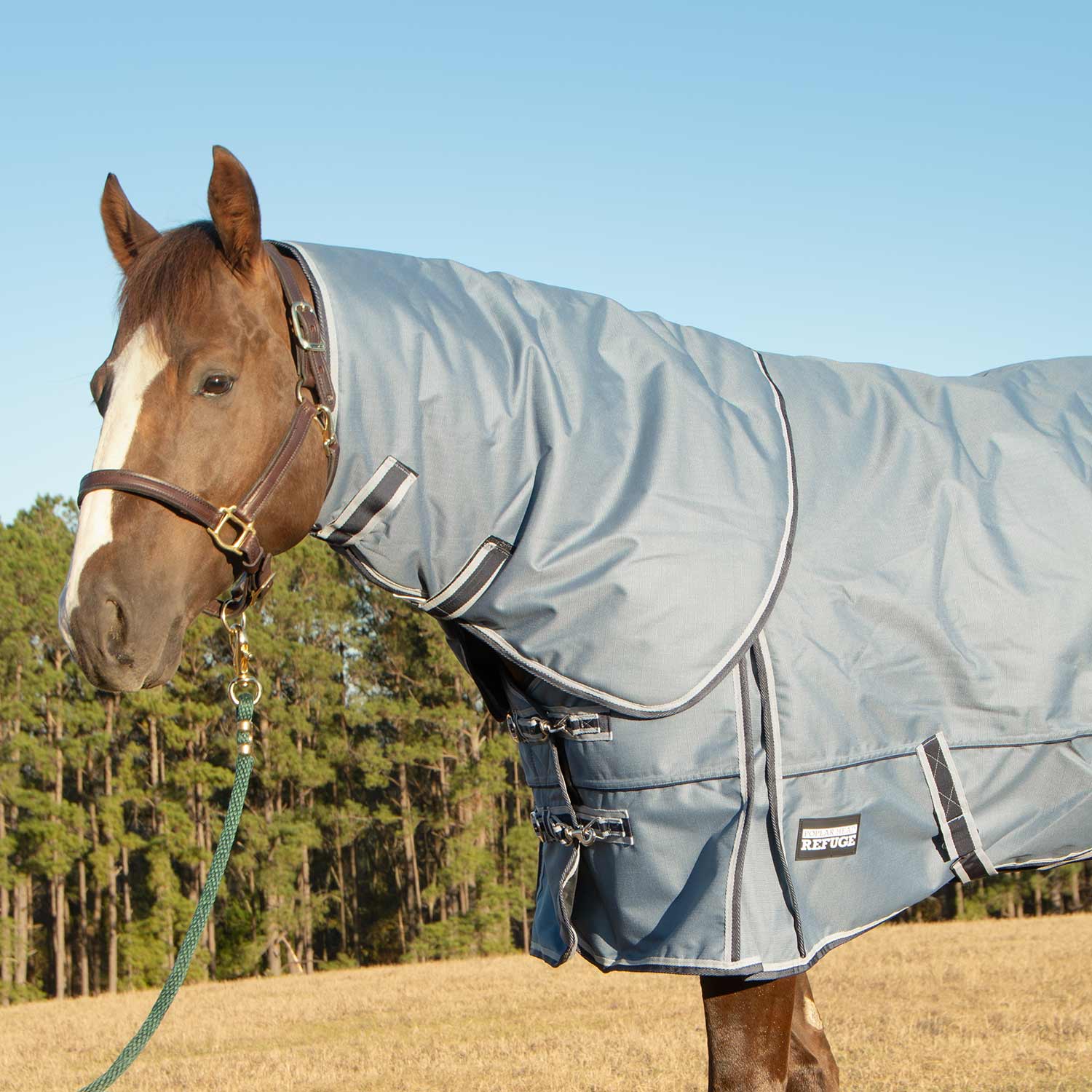 Jeffers Poplar Head "Refuge" 1200 Denier Turnout Blanket with Detachable Neck, 240 Gram, Hamilton Blue - Image 8