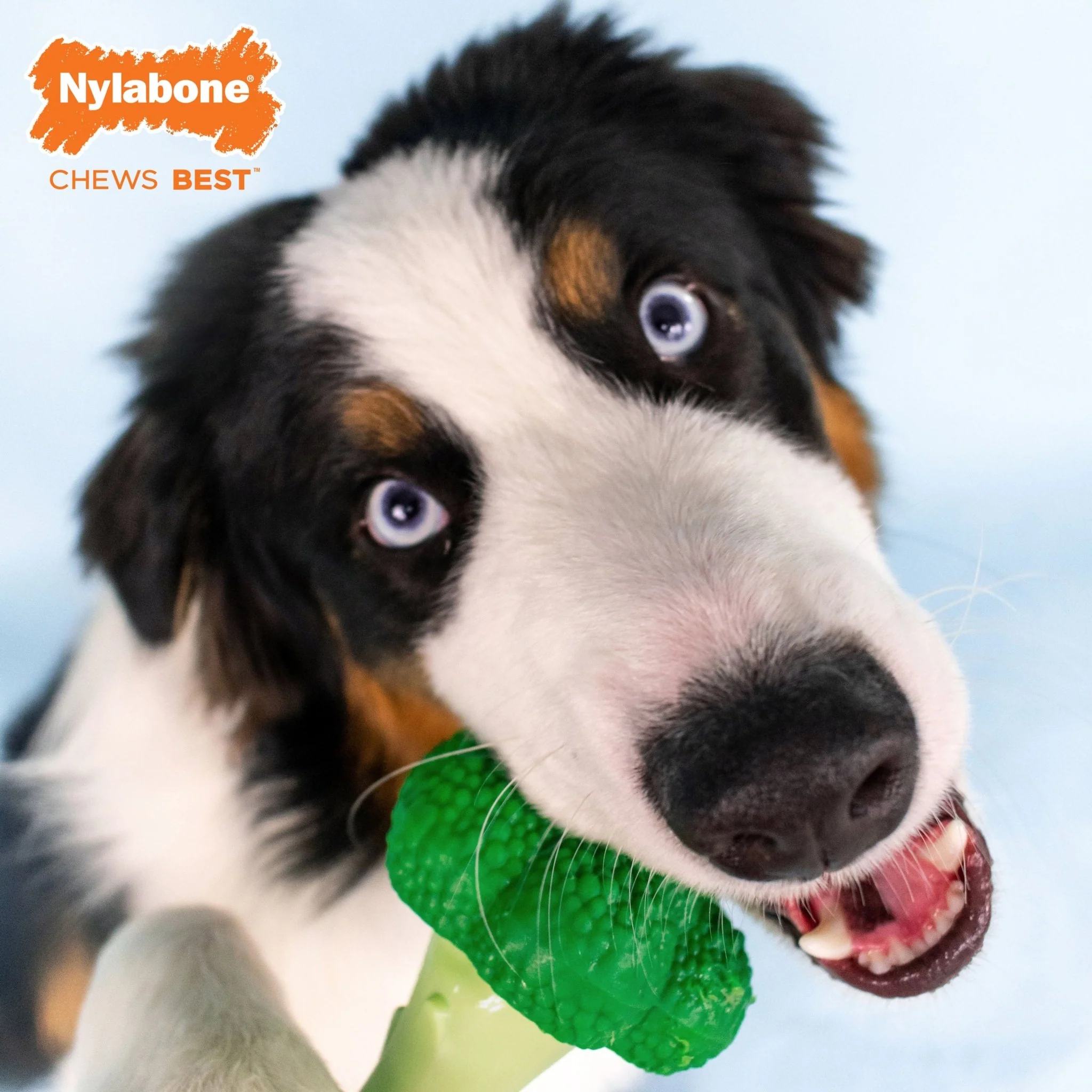 Power Chew Broccoli Dog Toy, Bacon & Cheese, Large/Giant, Up to 50 lbs - Image 5