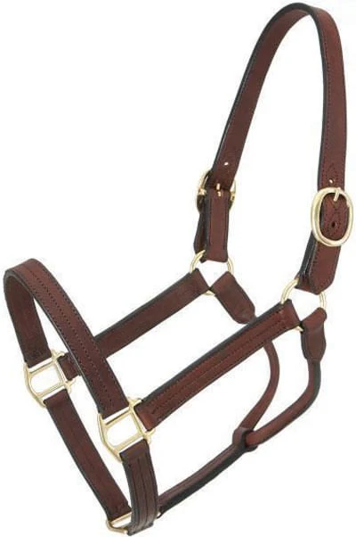 Royal King Preakness Leather Track Horse Halter - Image 6