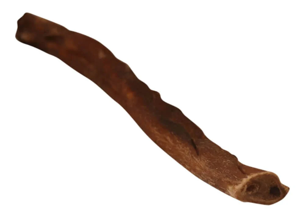 12" Premium Bully Sticks - Image 22