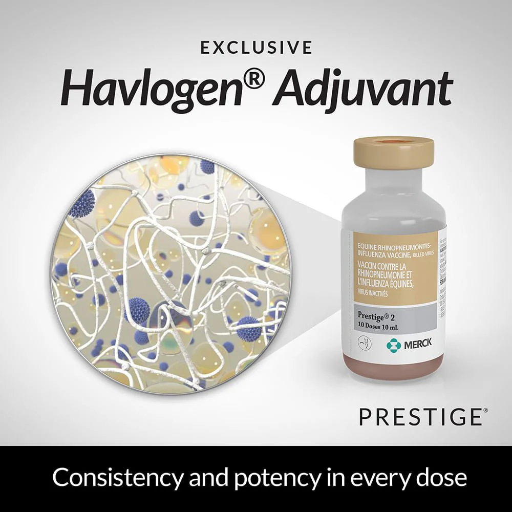 Prestige 2 Horse Vaccine - Image 10