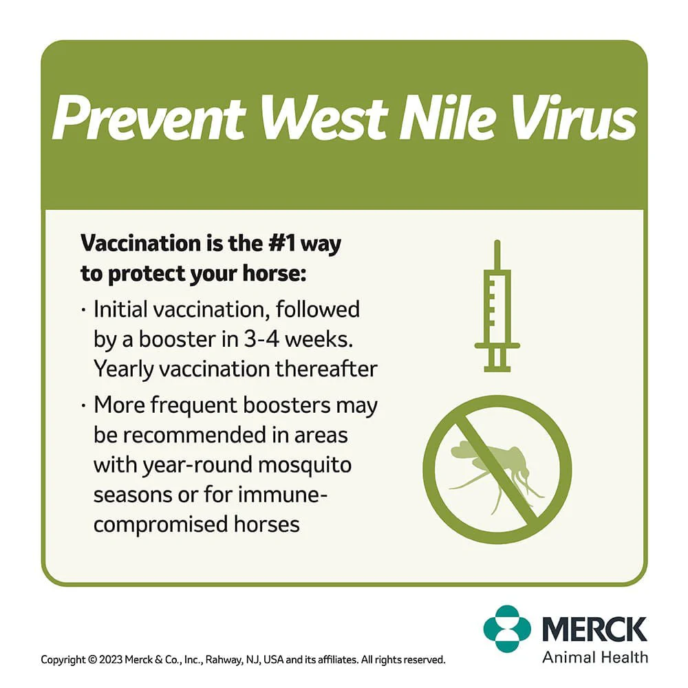 Prestige 3+WNV Horse Vaccine - Image 2
