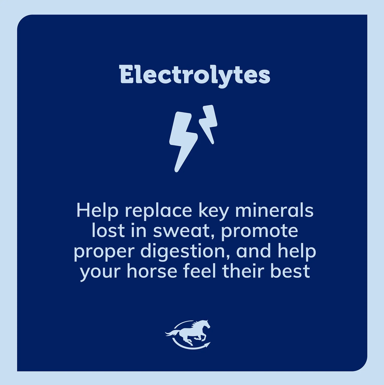 Pro Formula Labs Lyte Now Electrolyte Paste Horse Supplement - Image 3