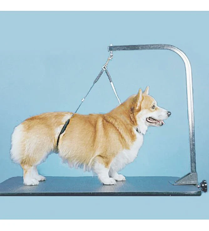 Proguard No-Sit Haunch Holder - Image 7