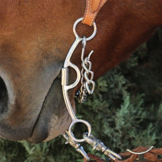 Professional's Choice Smooth Derby Bits - Image 5