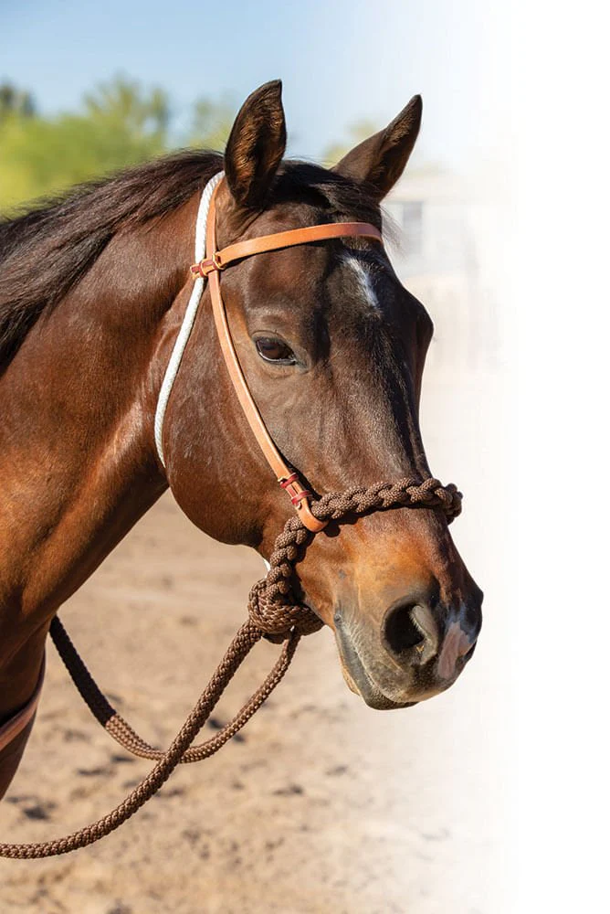Professional's Choice Loping Hackamore - Image 2