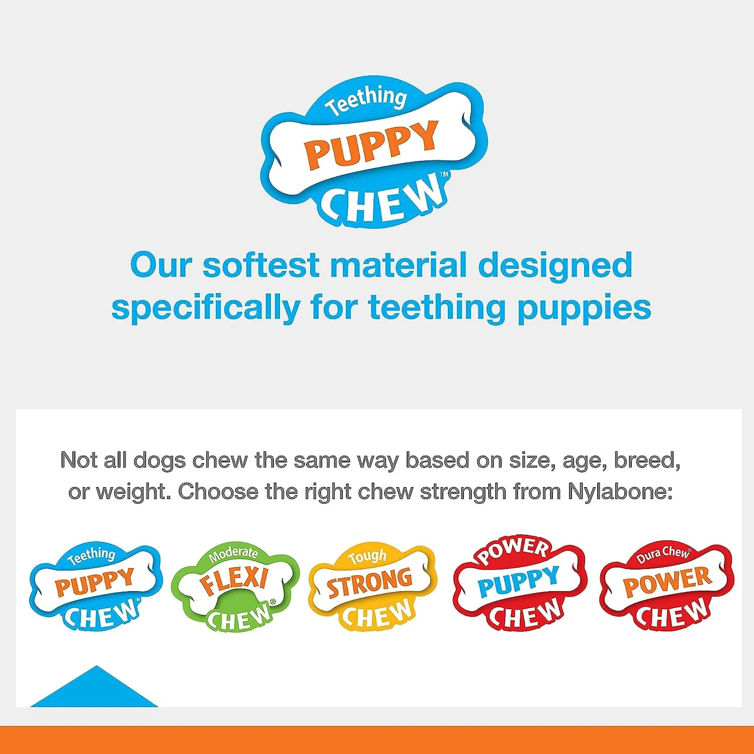 Nylabone Puppy Starter Kit, 3 pack - Image 6