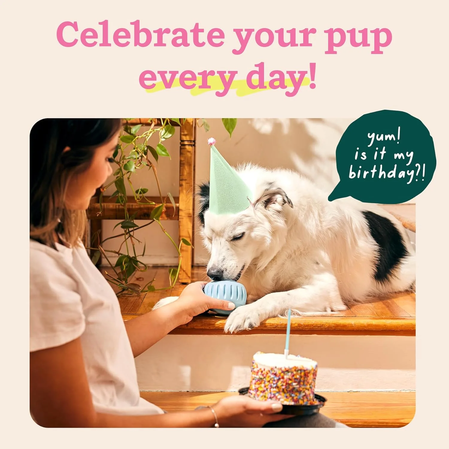 Pupsicle 'Birthday' Party Treat Dispensing Dog Toy – Interactive, Long-Lasting Chew & Puzzle Toy for Dogs - Image 8