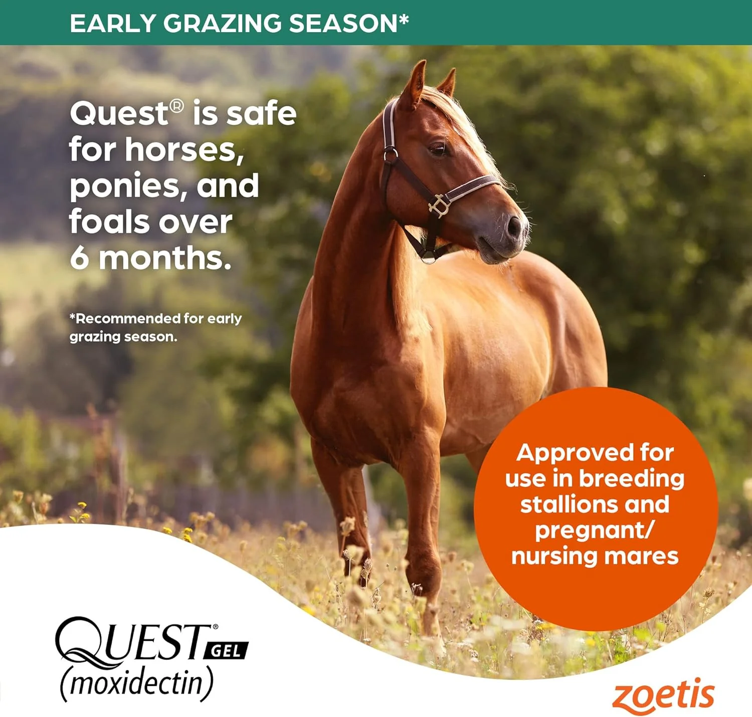 Quest Gel Horse Dewormer - 2% Moxidectin, Broad-Spectrum Parasite Control - Image 7