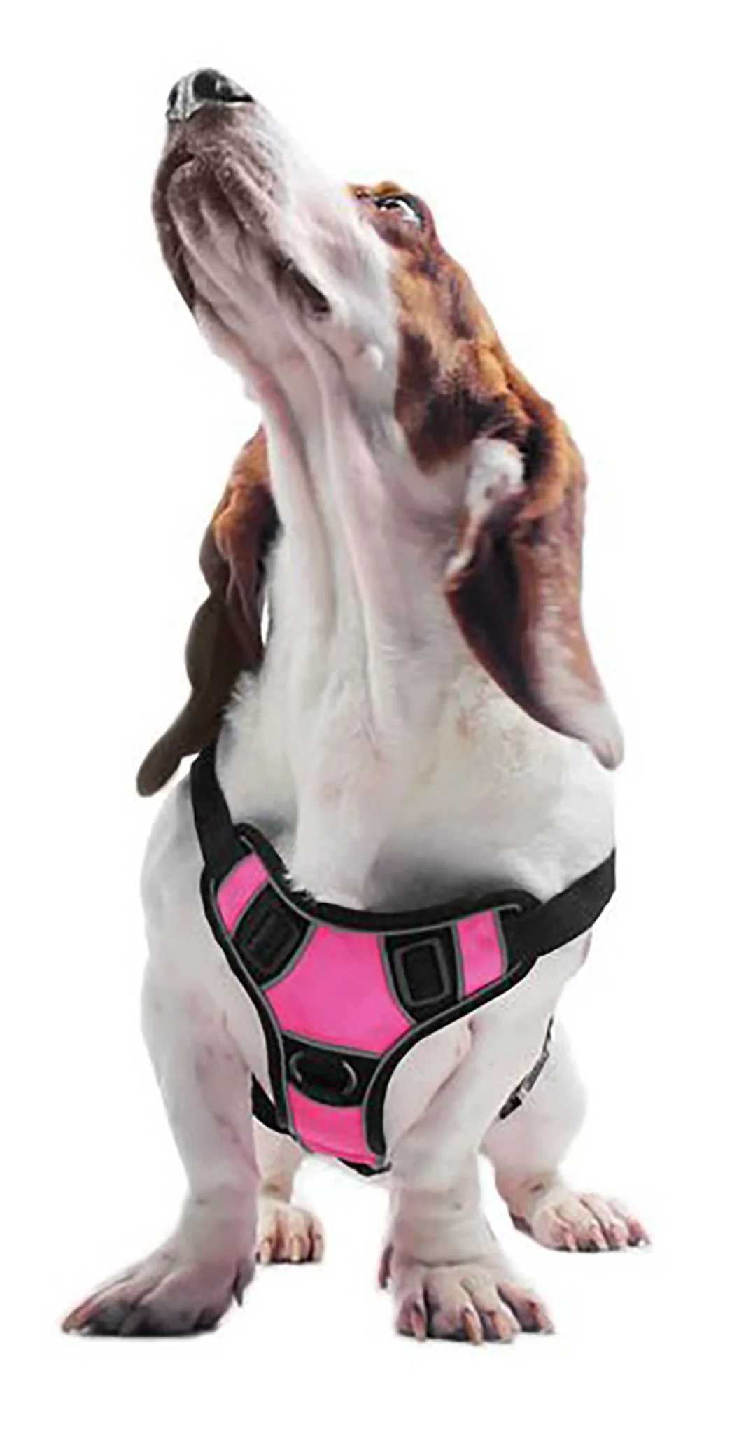 Quest Multi-Purpose Harness, XSmall - Image 16