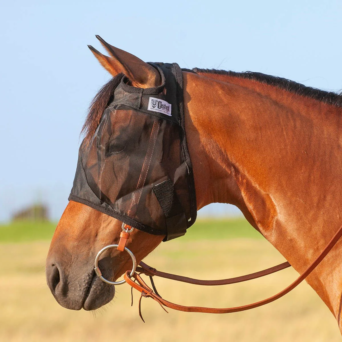 Cashel Quiet Ride Horse Fly Mask for Insect Control & Protection - Image 2