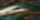 Poly Twisted Colors Lead Ropes, 10' - Image 4