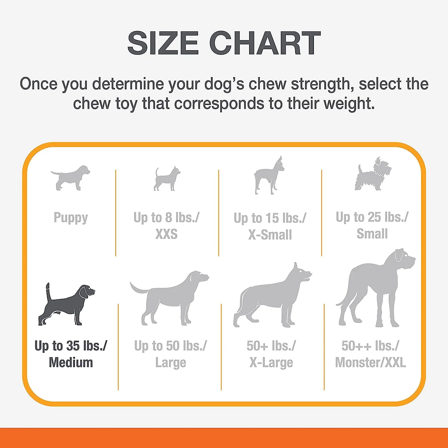 Nylabone Double Action Chew - Image 12