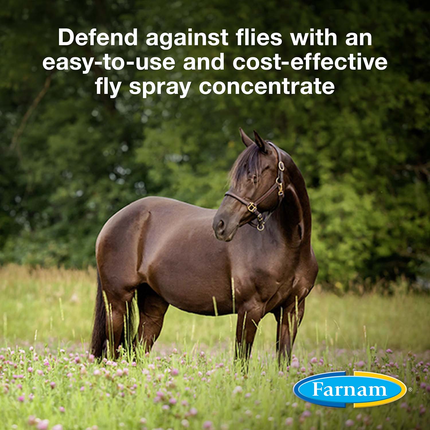 Repel-X pe Emulsifiable Fly Spray - Image 3