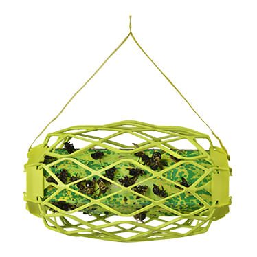 RESCUE! Carpenter Bee TrapStik - Image 3