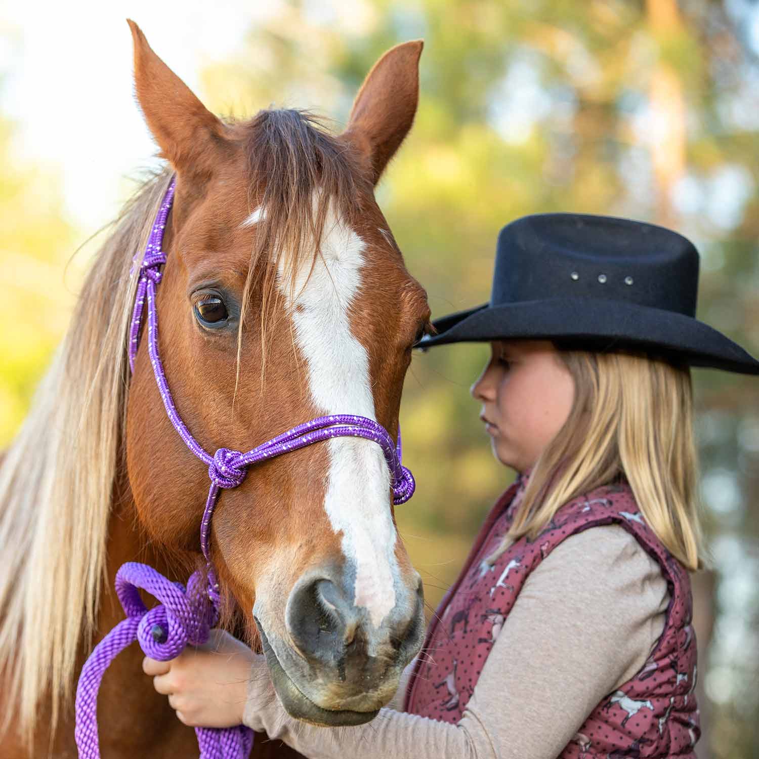 Jeffers Poly Braided Rope Horse Halter with Lead - Image 28