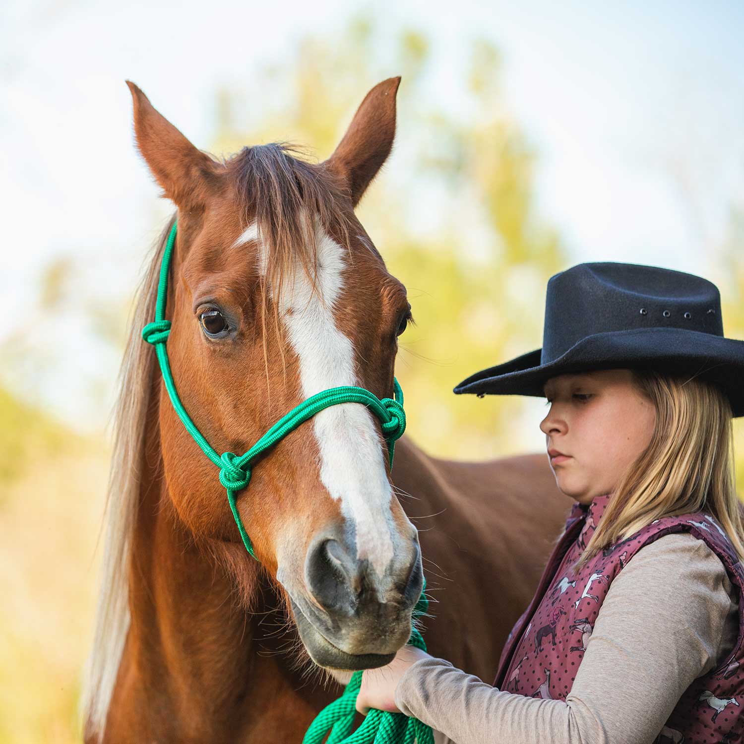 Jeffers Poly Braided Rope Horse Halter with Lead - Image 44