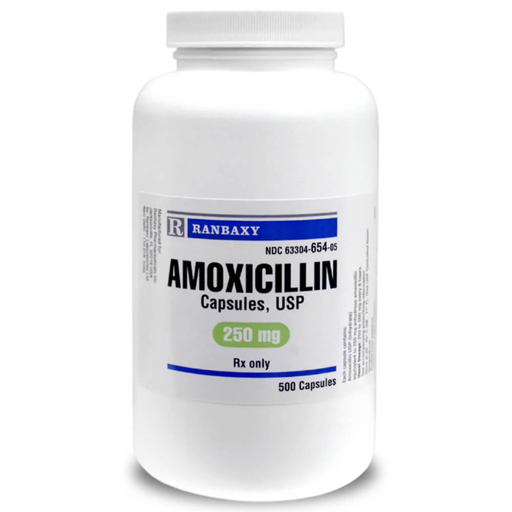 Rx Amoxicillin (Generic) Capsules for Dogs & Cats - Image 3