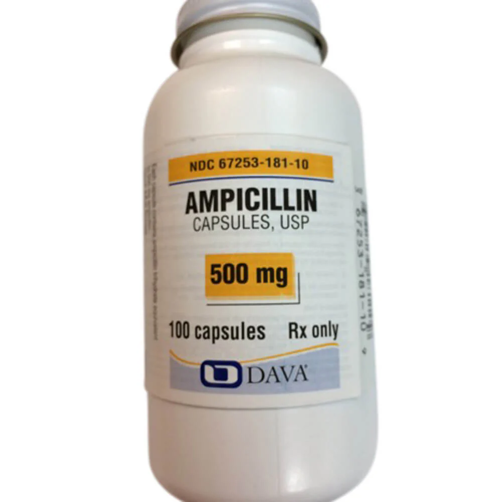 Rx Ampicillin (Generic) Capsules for Horses, Dogs, & Cats - Image 2