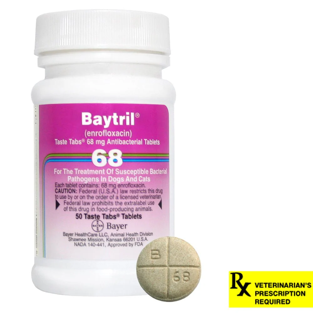 Rx Baytril (enrofloxacin) Tablets for Dogs and Cats - Image 5