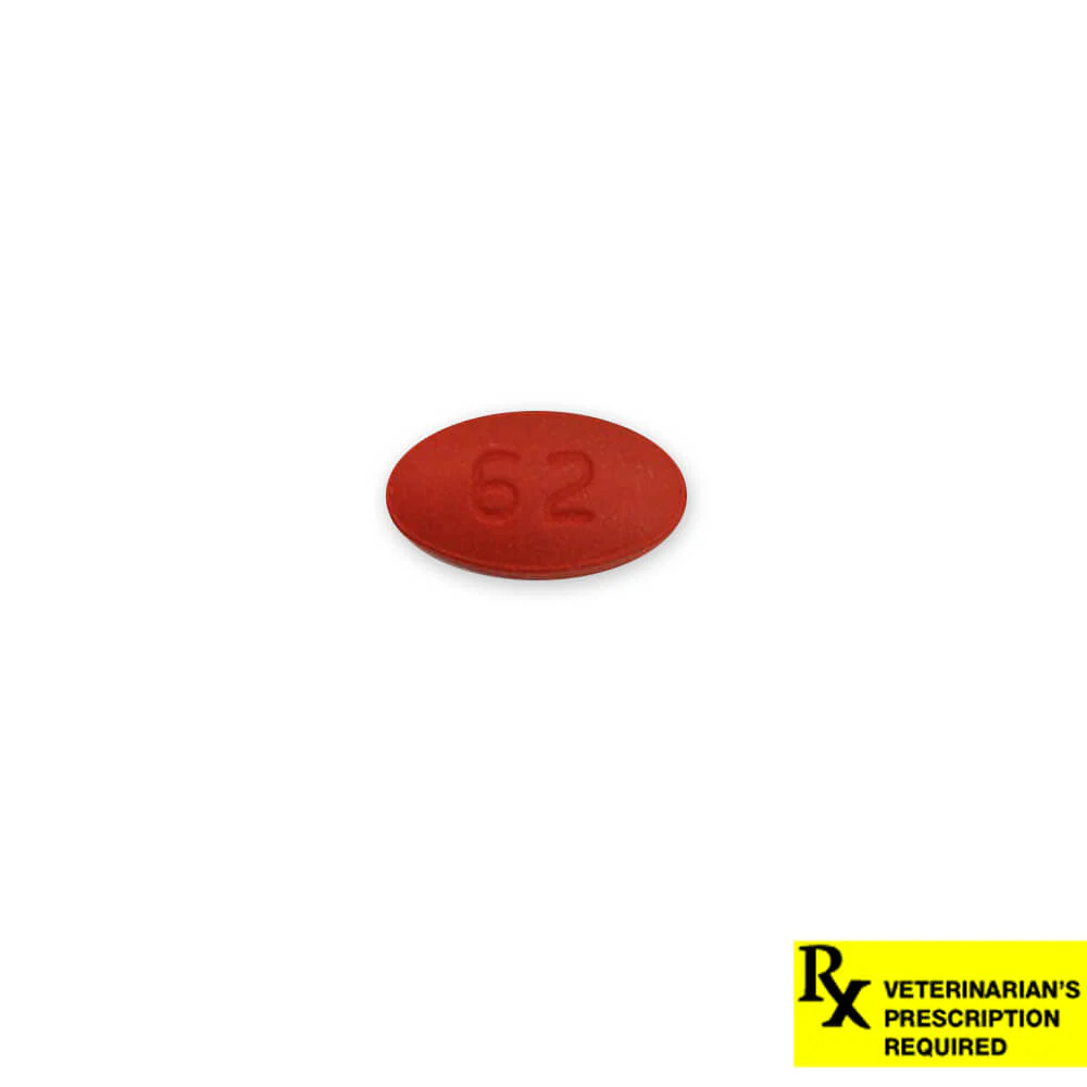 Rx Cefpoderm (Cefpodoxime Proxetil) Tablets for Dogs, Prescription Antibiotic for Skin, Wound & Abscess Infections - Image 6