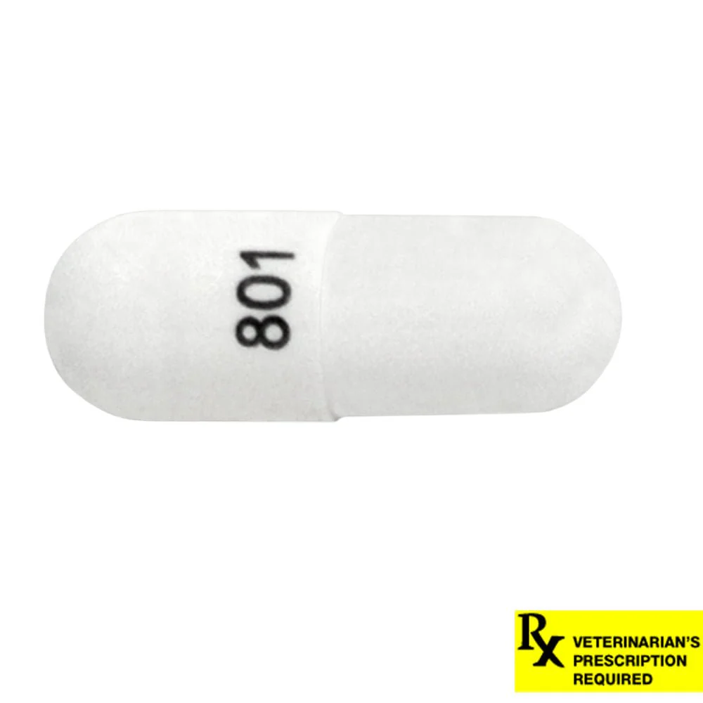 Rx Cephalexin (Generic) Capsules for Dogs & Cats - Image 2