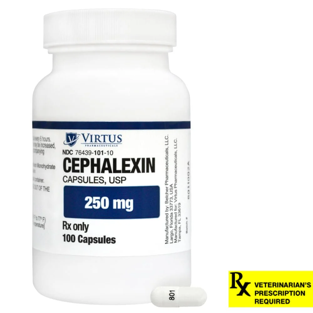 Rx Cephalexin (Generic) Capsules for Dogs & Cats - Image 3