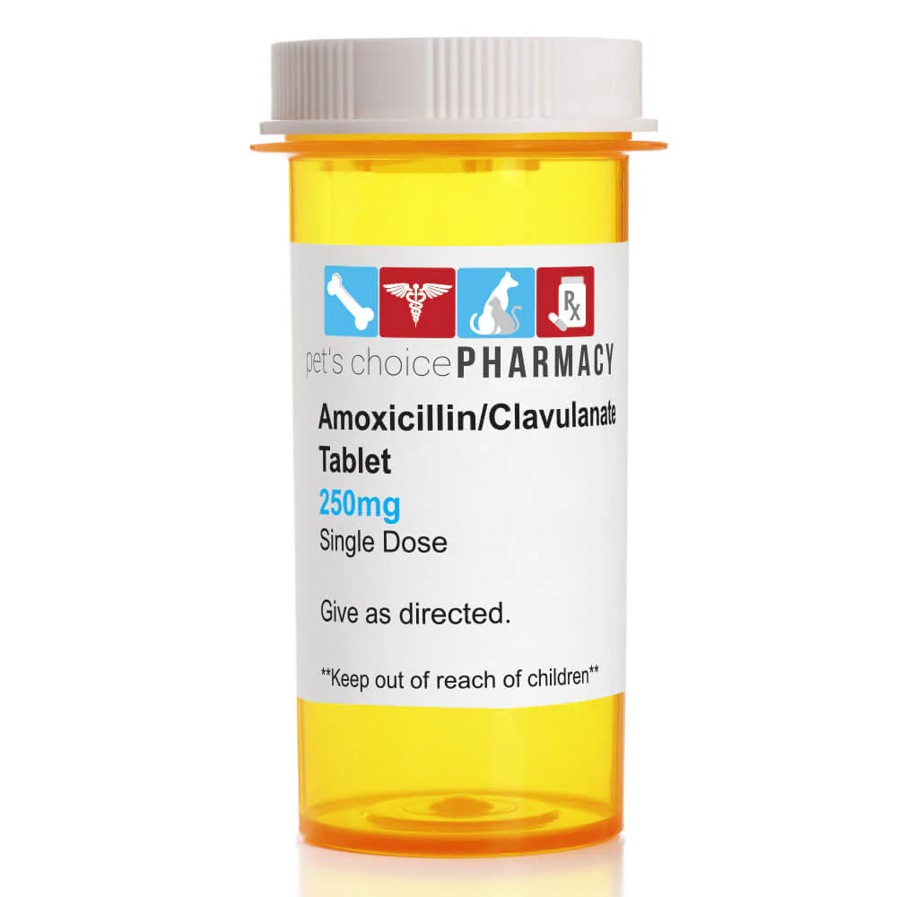 Rx Clavacillin (amoxicillin trihydrate/clavulanate potassium) Tablets for Dogs & Cats - Image 2