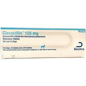 Rx Clavacillin (amoxicillin trihydrate/clavulanate potassium) Tablets for Dogs & Cats - Image 4