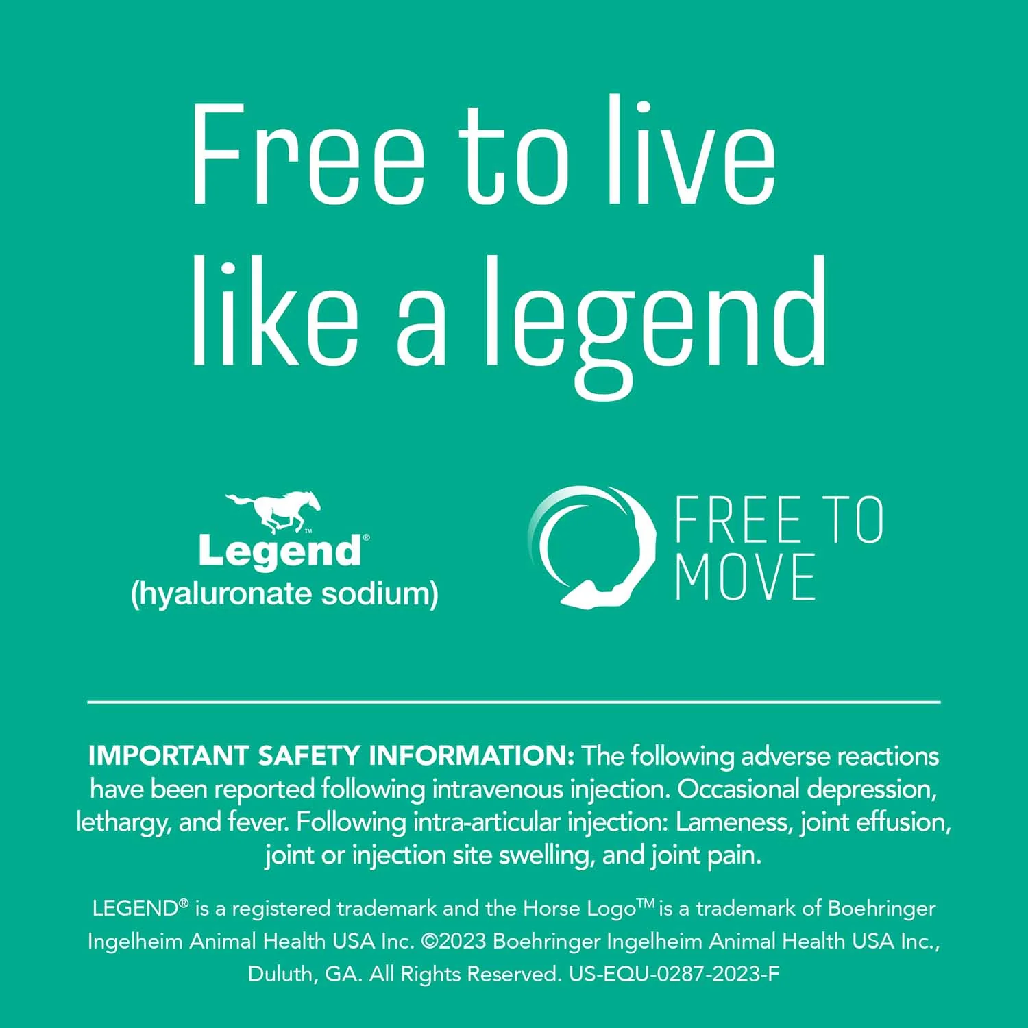 Rx Legend (hyaluronate sodium) Injectable Solution for Horses - Image 16