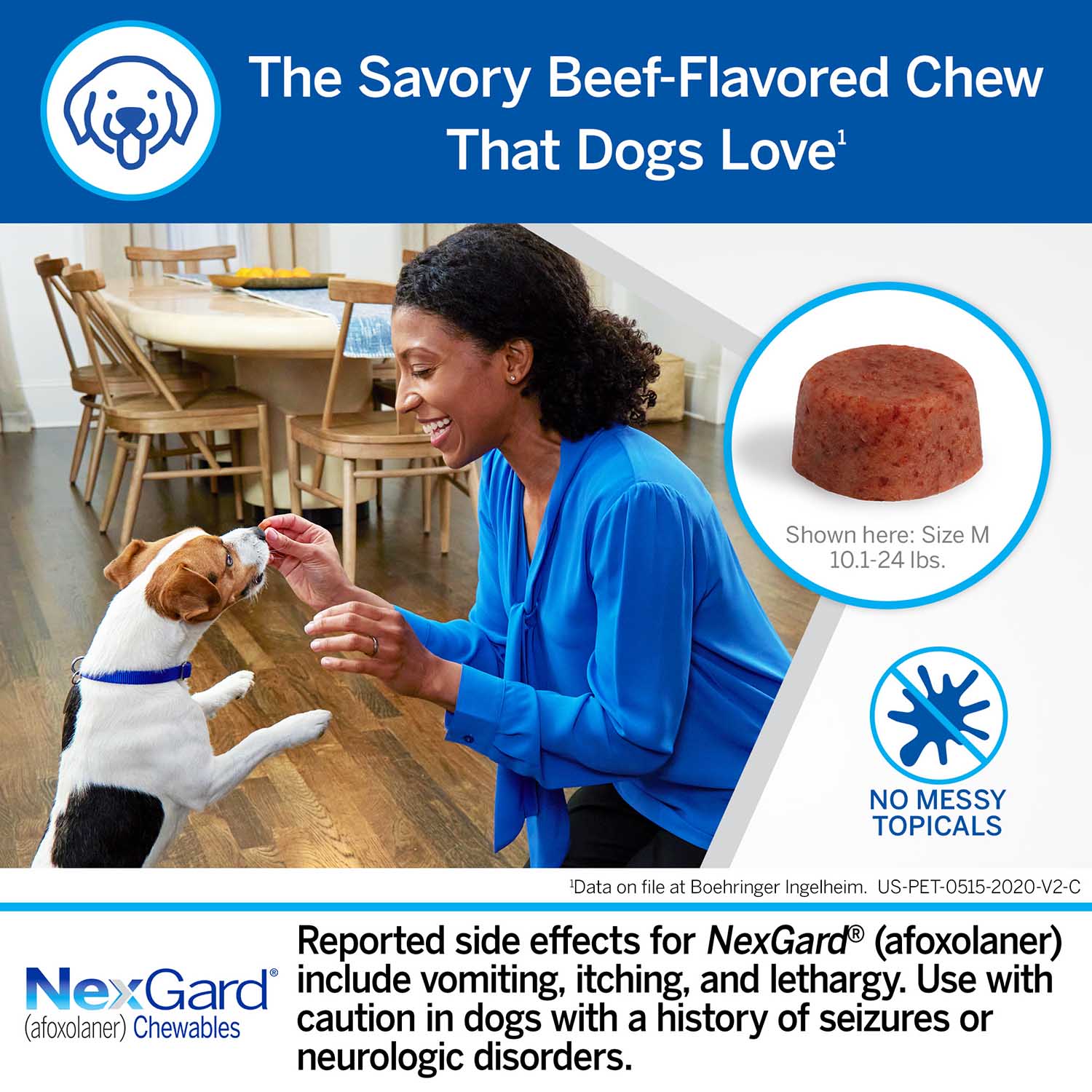 Rx NexGard Flea and Tick Chewables for Dogs - Image 40