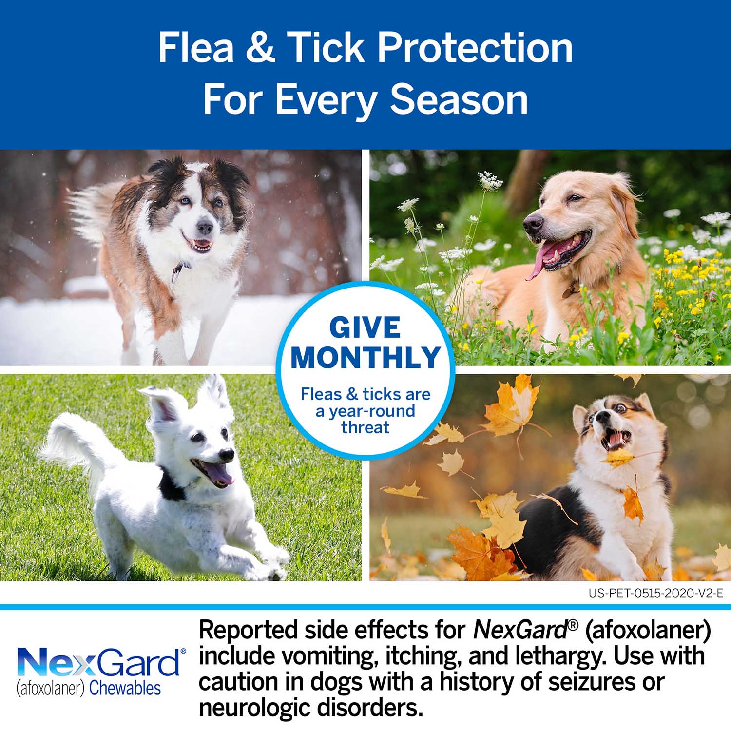 Rx NexGard Flea and Tick Chewables for Dogs - Image 42