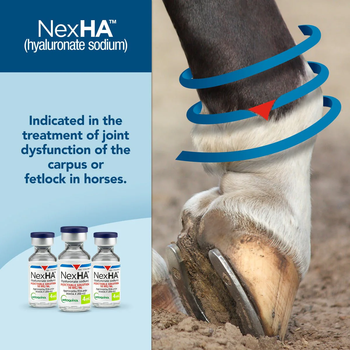 Rx NexHA Hyaluronate Sodium (Generic) Injectable Joint Treatment Solution for Horses - Image 4
