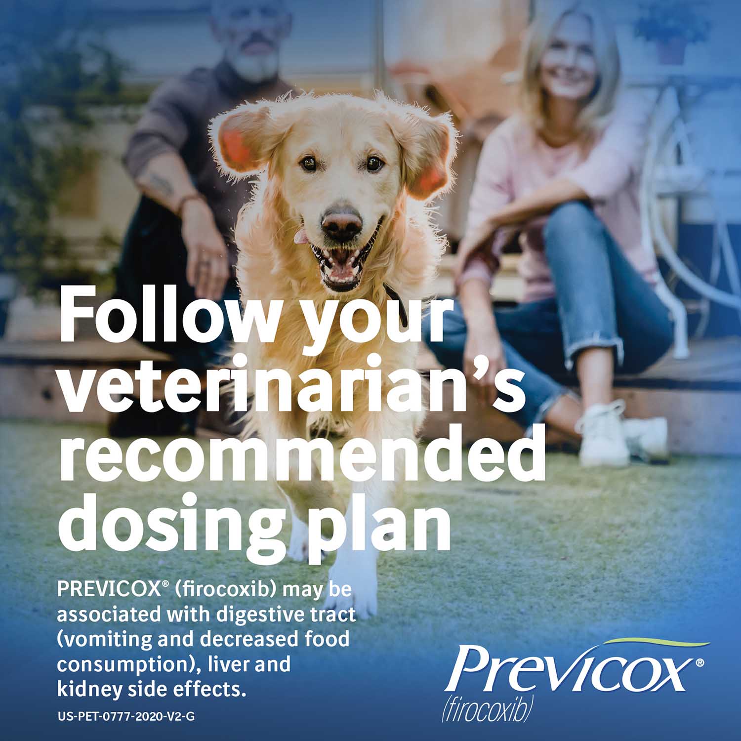 Rx Previcox (firocoxib) Chew Tabs for Dogs - Image 43