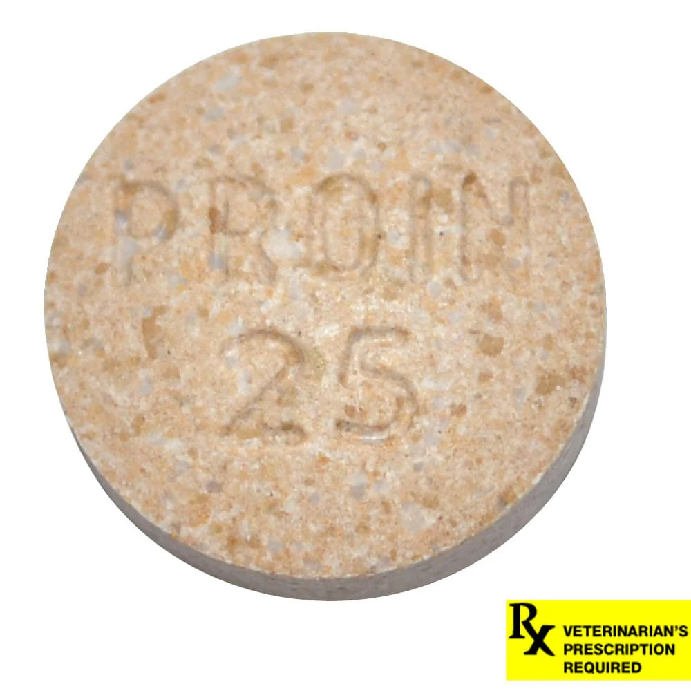 Rx Proin (phenylpropanolamine hydrochloride) Chewable Tablets for Dogs - Image 2