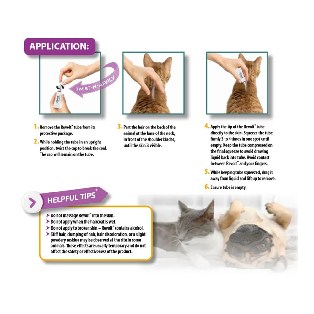 Rx Revolt (Selamectin) for Dogs - Image 5