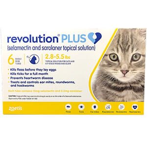 Rx Revolution (selamectin) Feline Once-a-month Flea Topical for Cats - Image 5