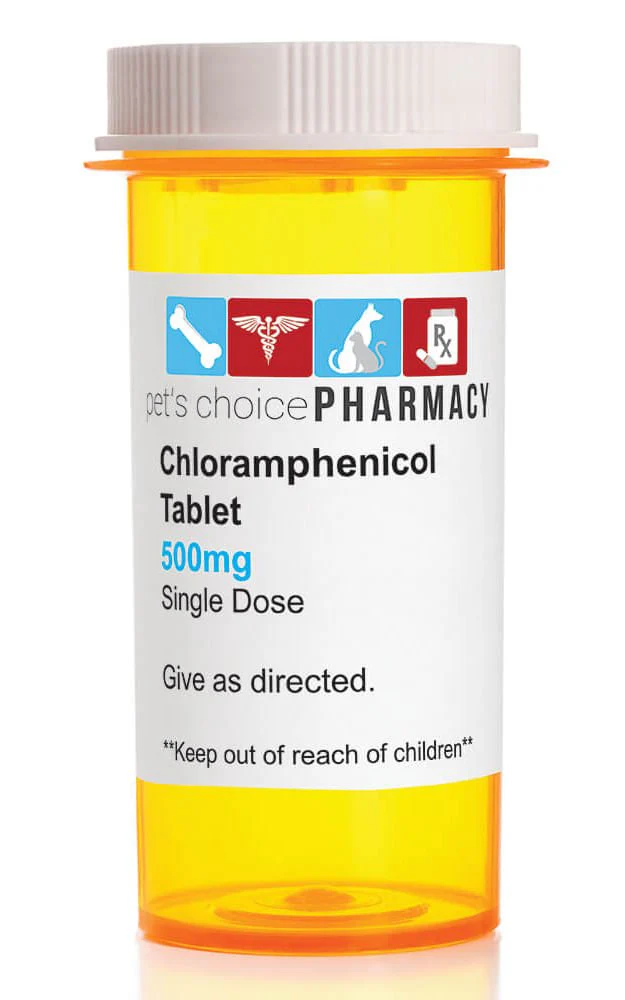 Rx Chloramphenicol (Generic) Tablets for Dogs - Image 4