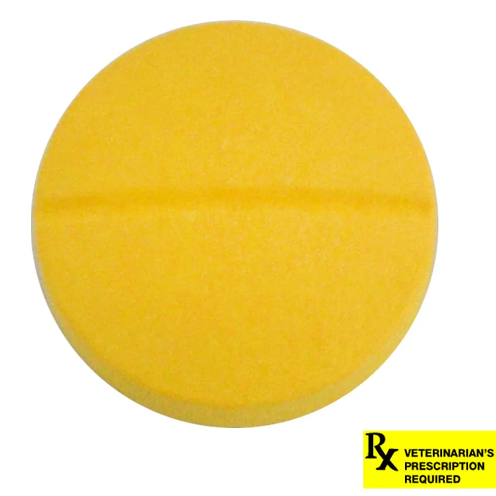 Rx Chloramphenicol (Generic) Tablets for Dogs - Image 5