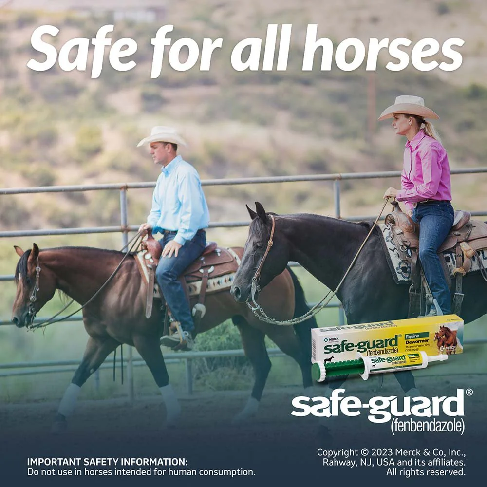 Safe-Guard 10% Fenbendazole Horse Dewormer Paste, 25g – Broad-Spectrum Parasite Wormer - Image 9
