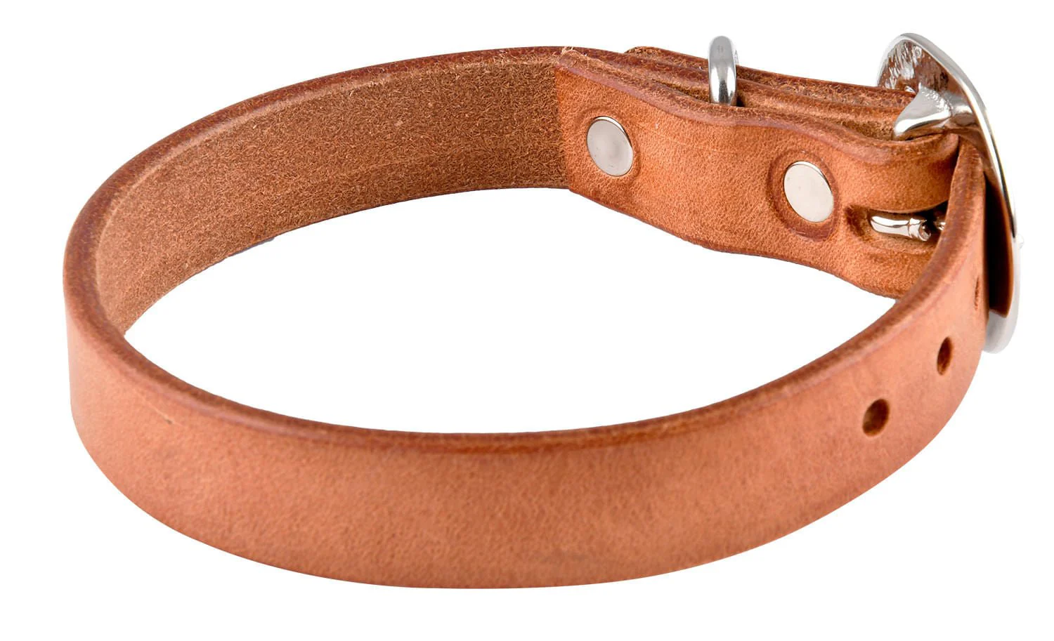 San Saba Leather Dog Collar - Image 20