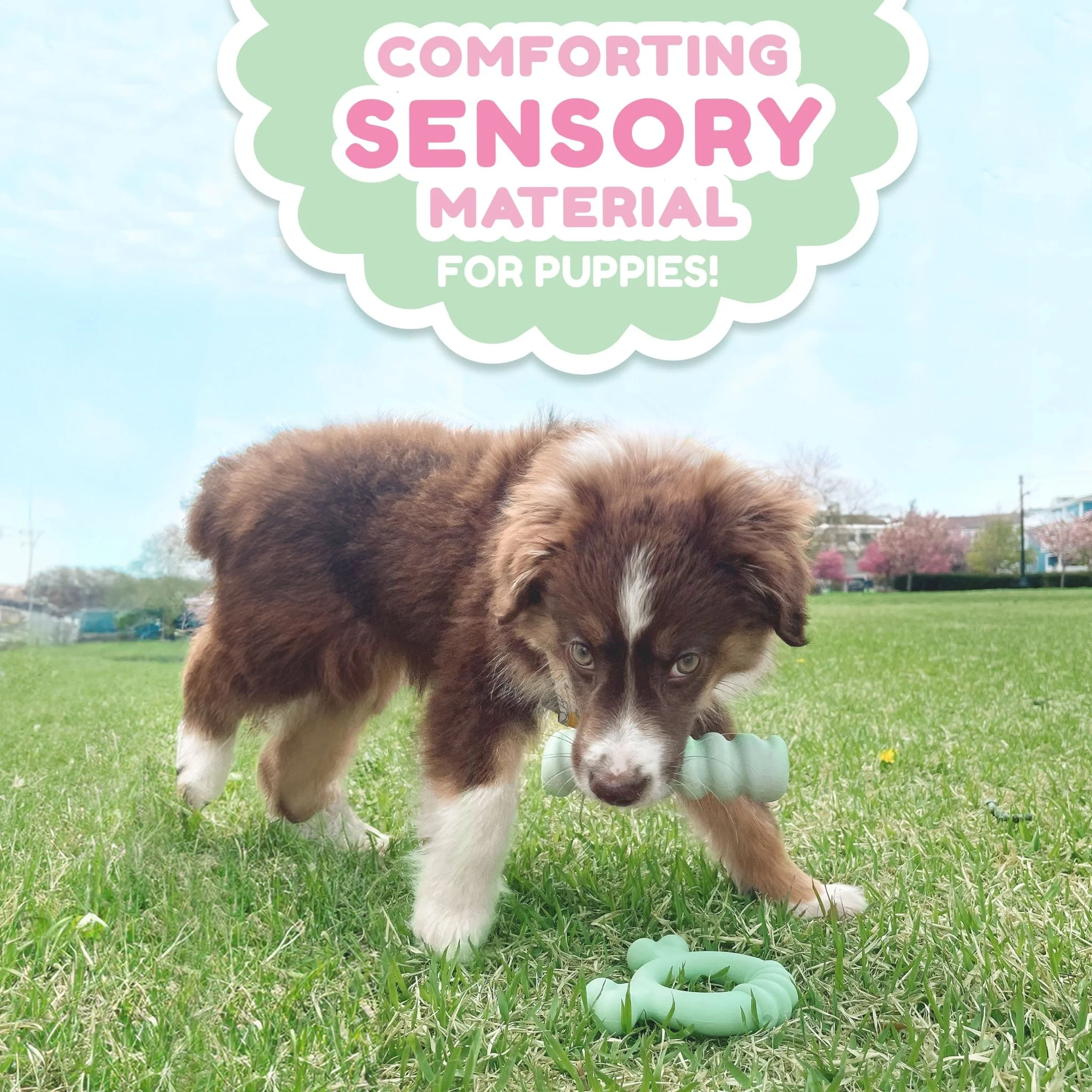 Sensory Material Puppy Teething Ring, Chicken, Small/Regular, Up to 25 Ibs - Image 7