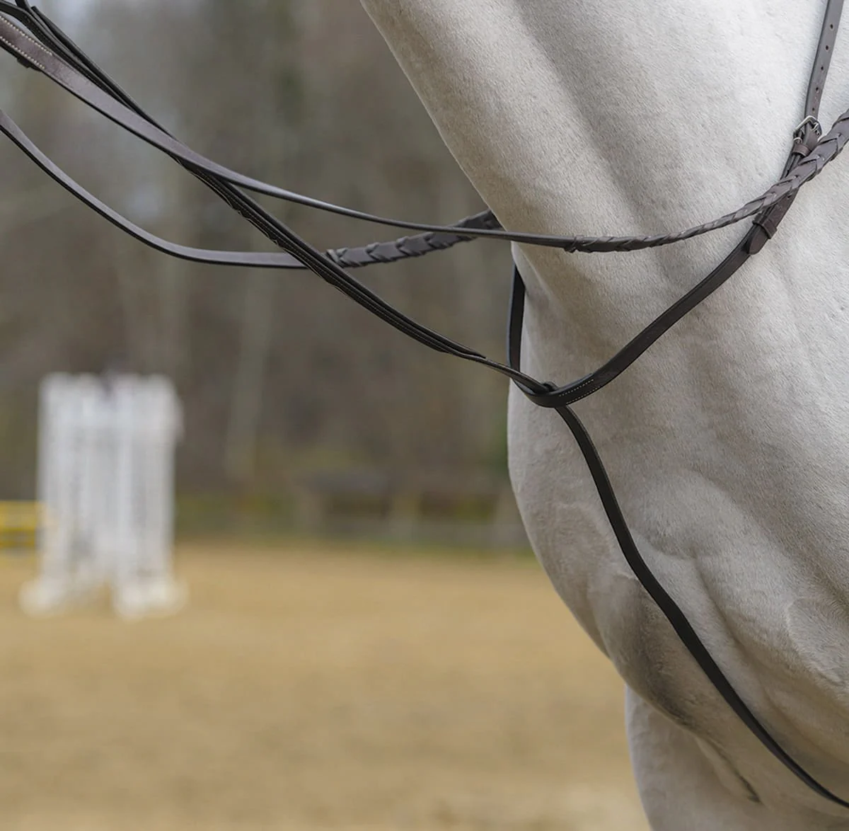 Shires Standing Martingale, Havana - Image 2