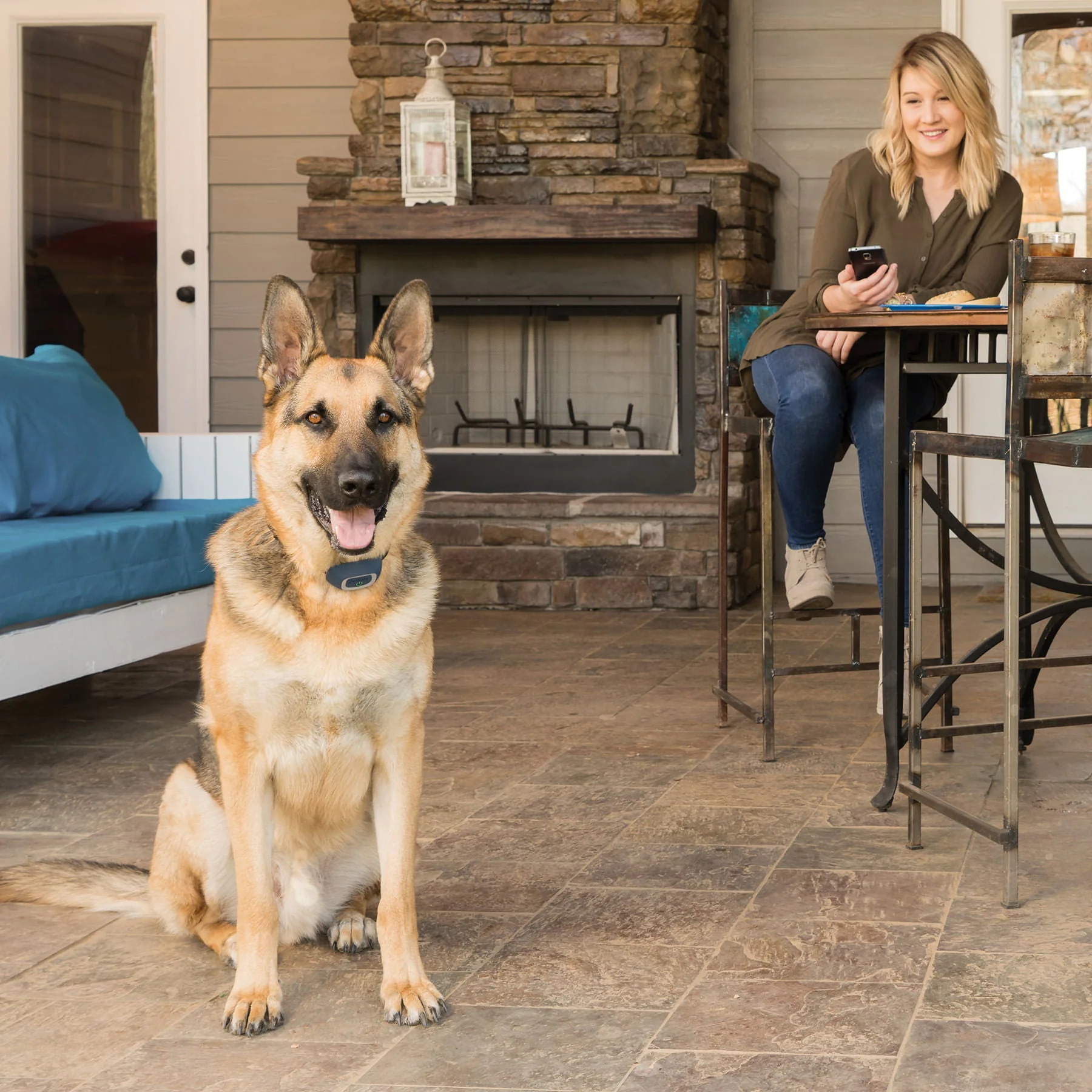 Petsafe Smart Dog Trainer - Image 5