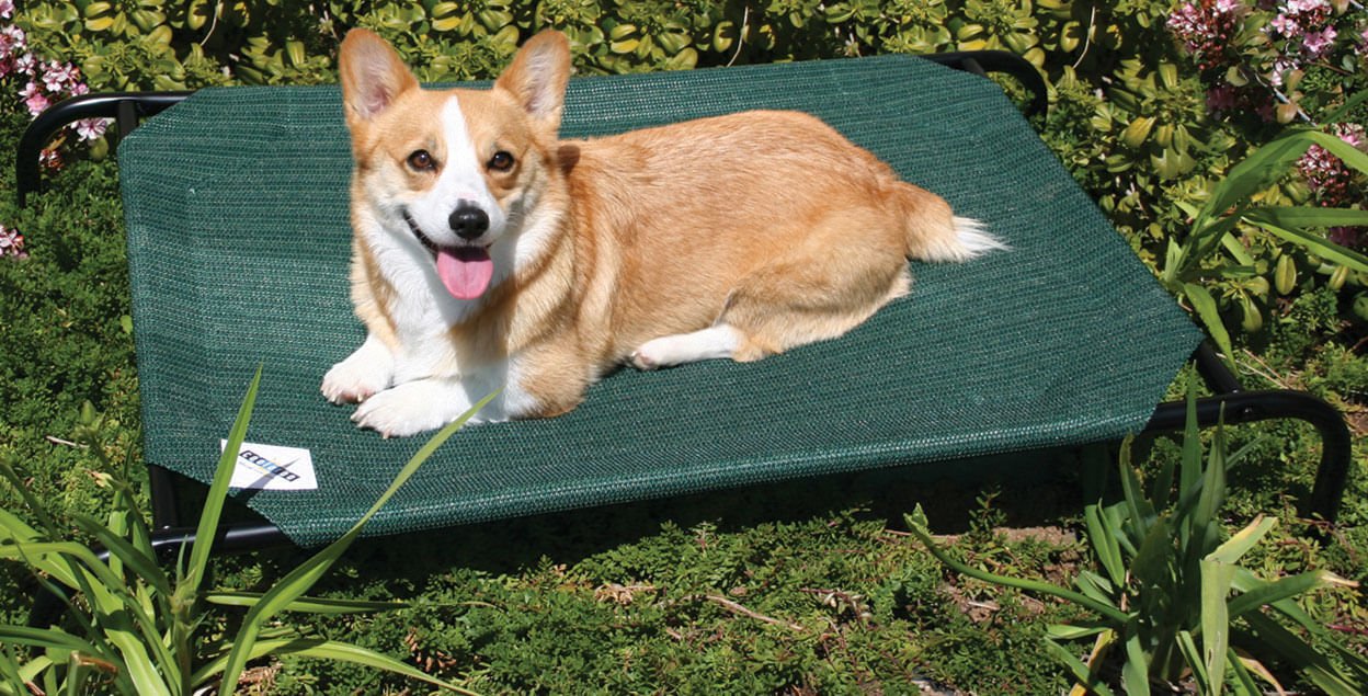 Coolaroo Pet Bed - Image 5