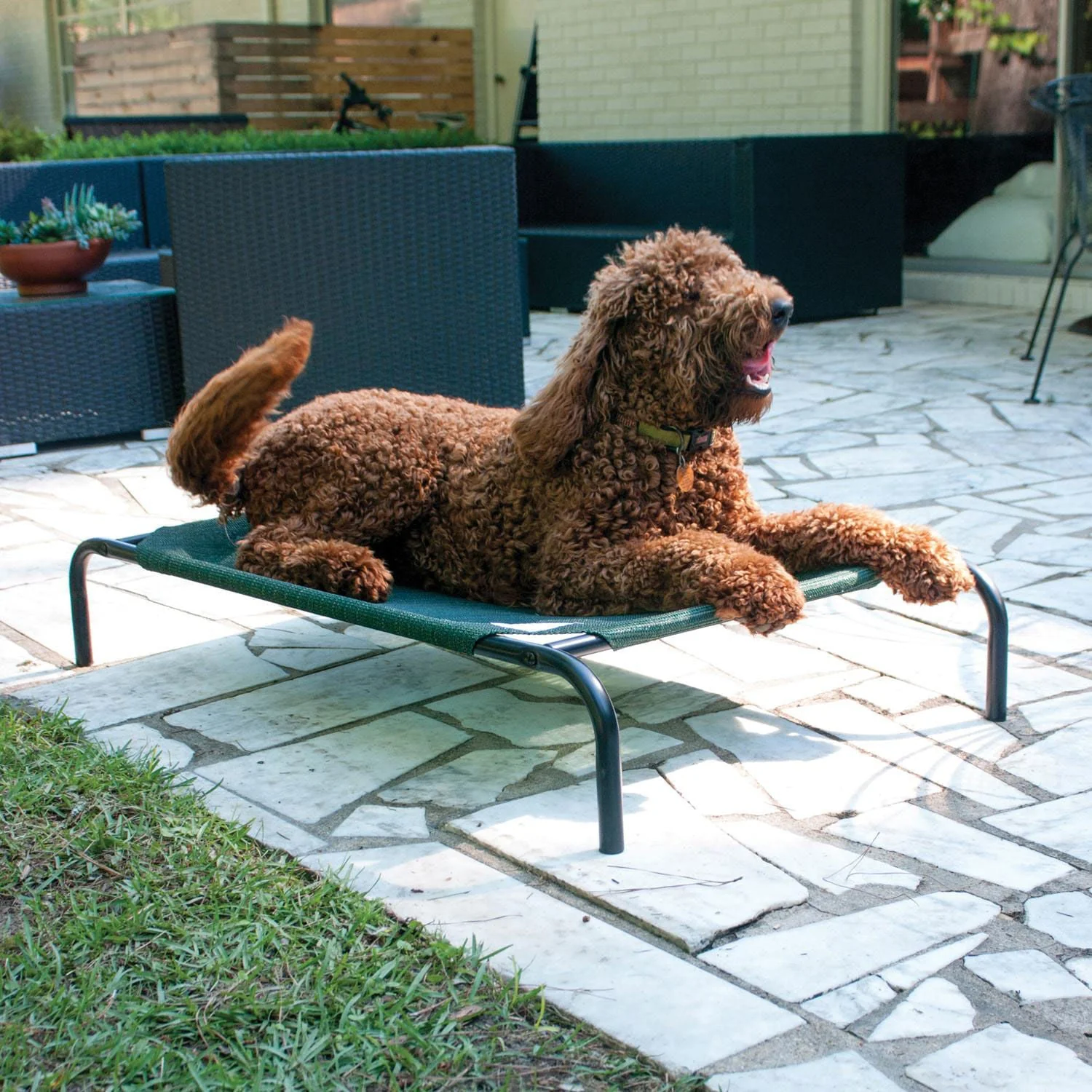 Coolaroo Pet Bed - Image 7