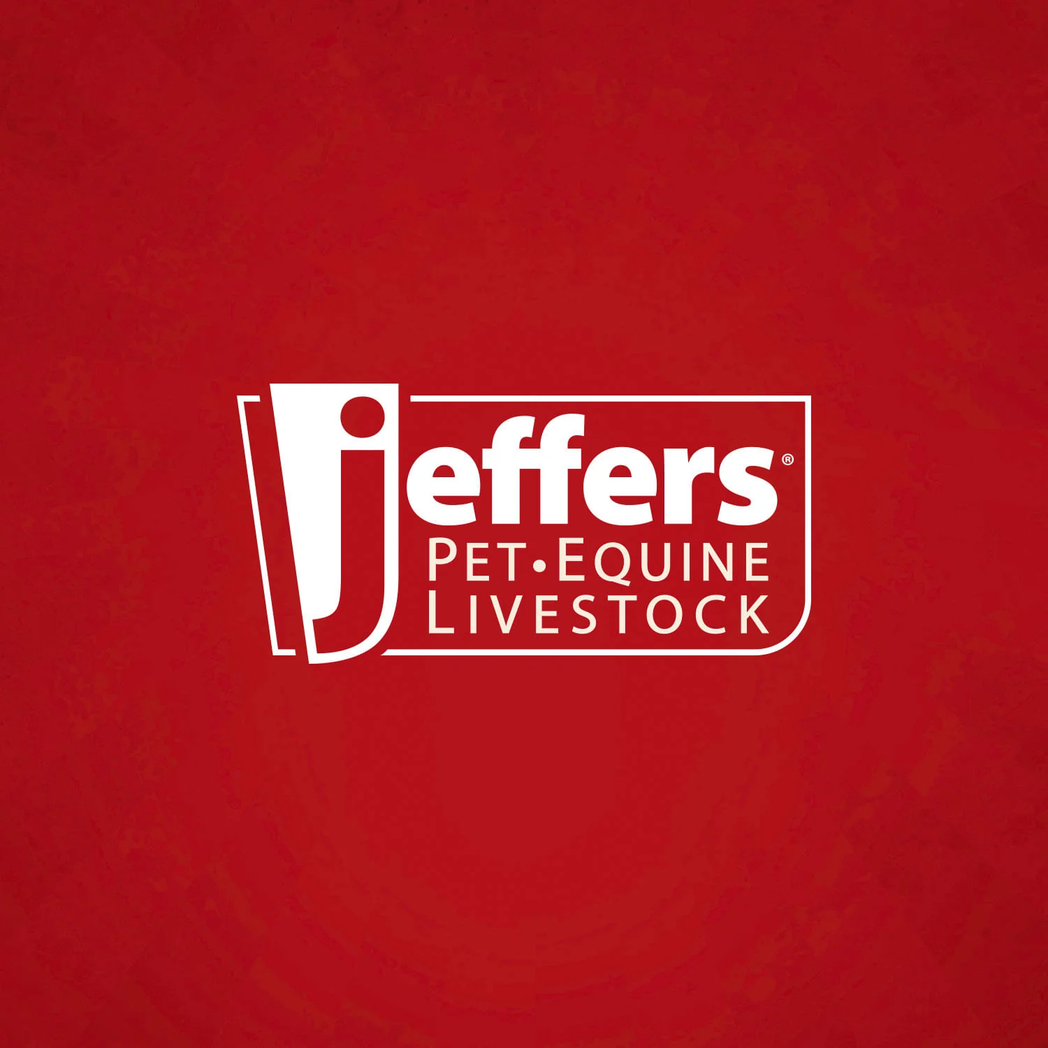 Jeffers Heavy Weight Stainless Steel Pet Bowls – Durable Pet Food & Water Dish, Chew-Resistant, Dishwasher Safe - Image 5