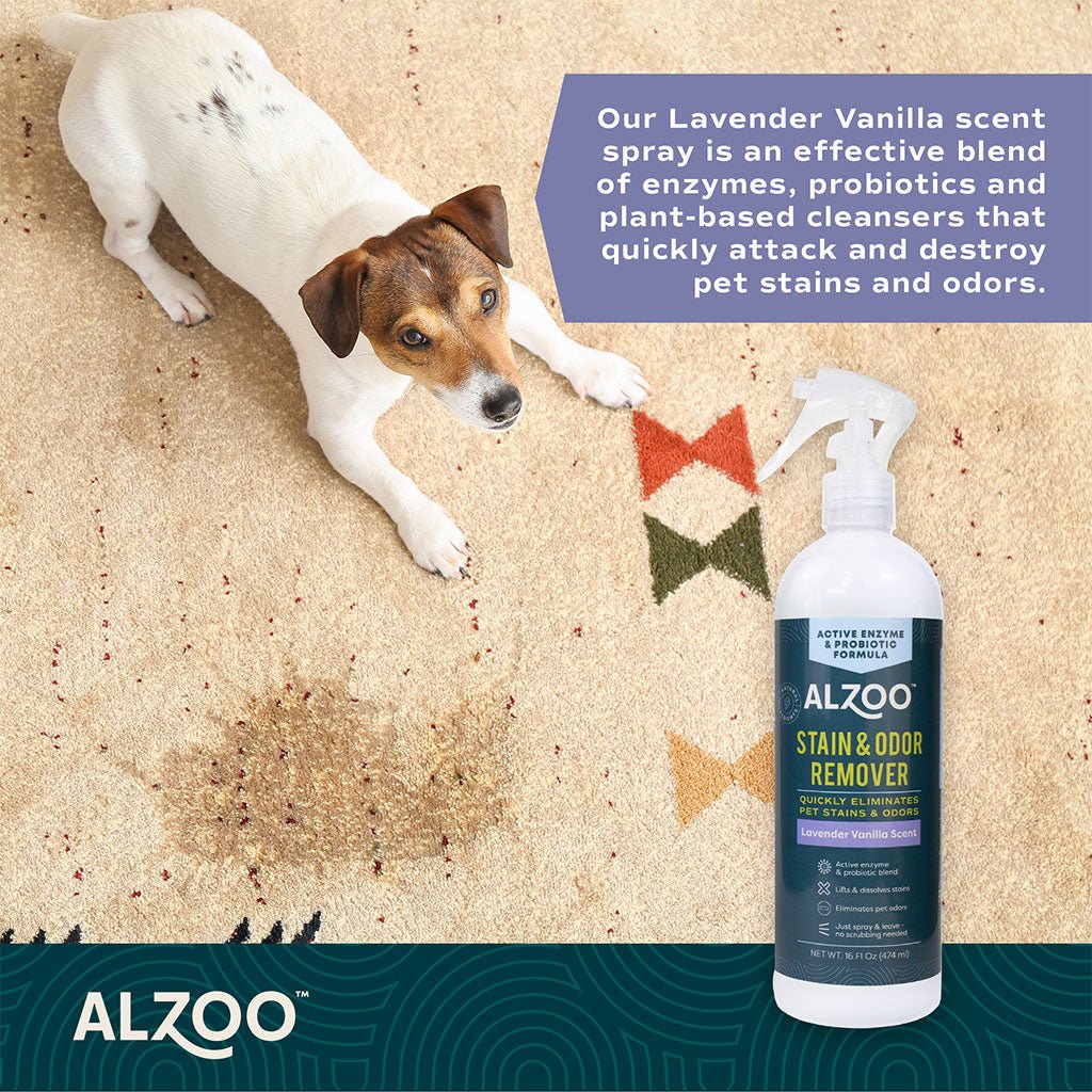 Plant-Based Stain & Odor Remover with Active Enzymes & Probiotic Scented Spray - Image 19